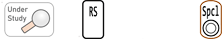 P4SLRS-RS000AAAA1-Y_1.png